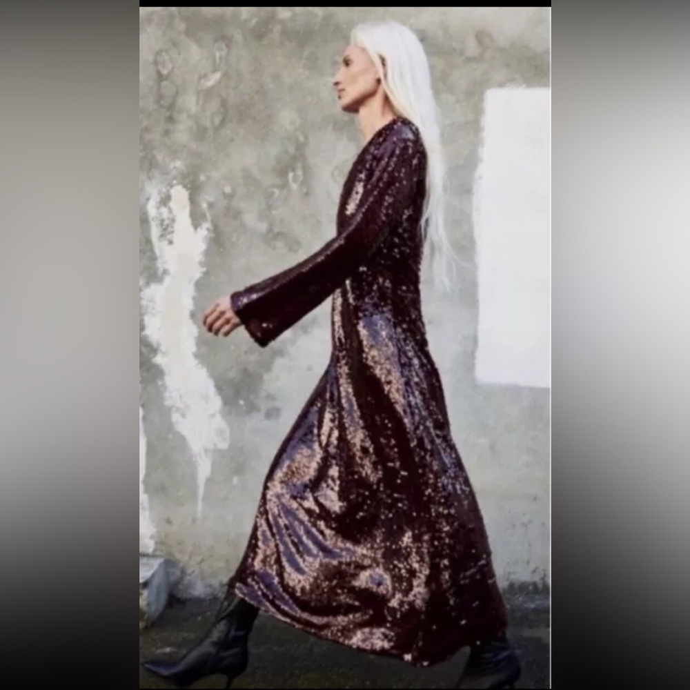 Zara Maroon Sequin Dress
